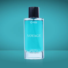 Voyage